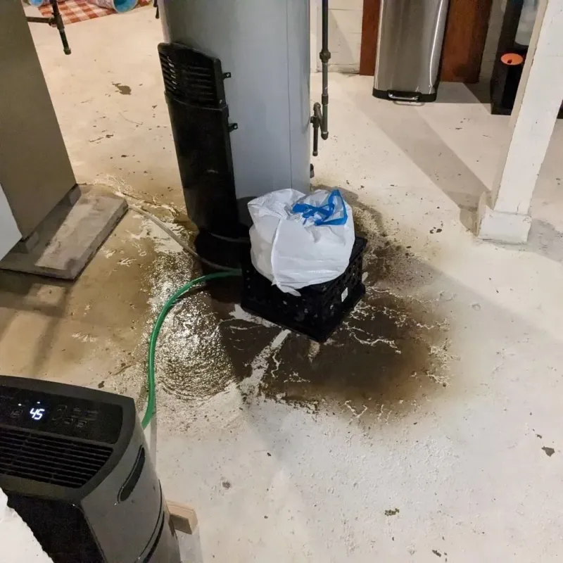 Sewage Backup Cleanup Service in Bear Creek, AL